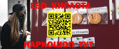 стаф Новодвинск