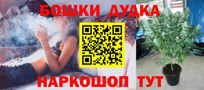 гашиш Новозыбков
