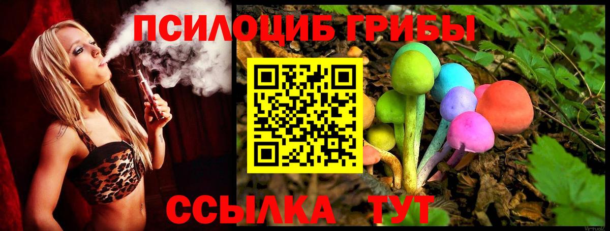 Краснотурьинск  Псилоцибиновые грибы GOLDEN TEACHER  Вход с VPN 
