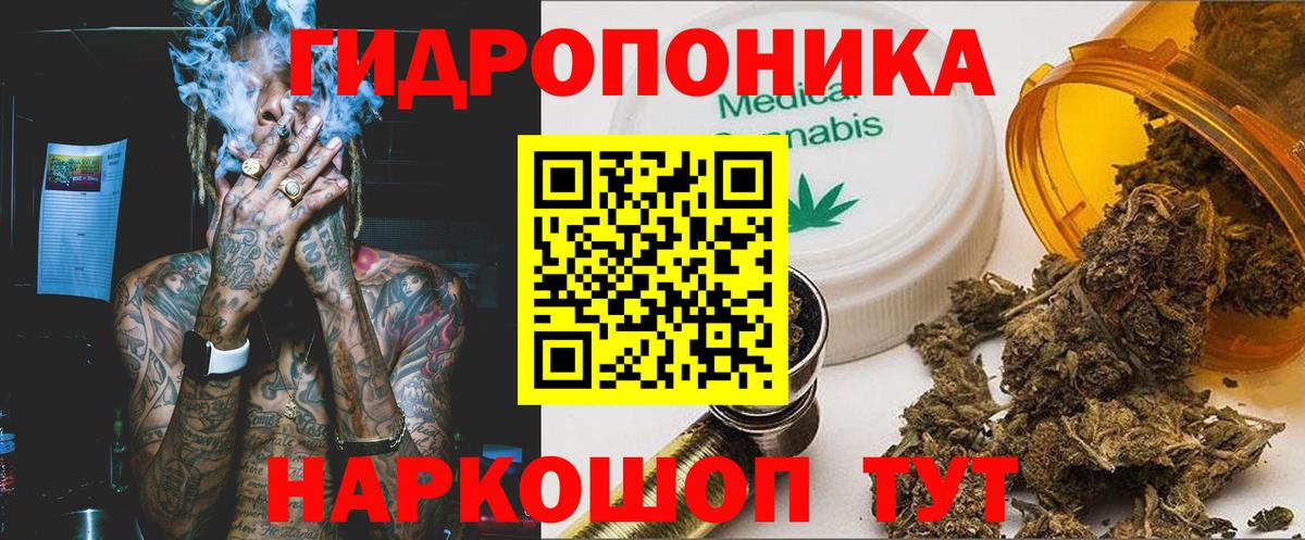 Канабис сатива Краснотурьинск